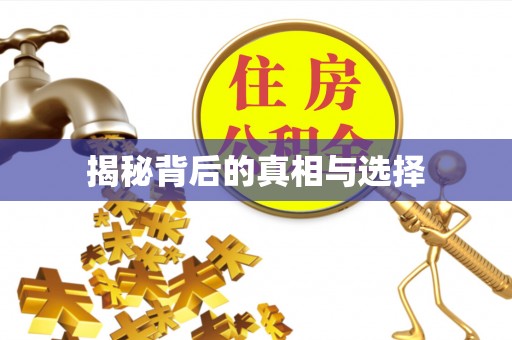 神木揭秘背后的真相与选择