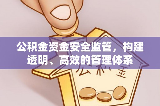 神木公积金资金安全监管，构建透明、高效的管理体系