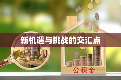 神木新机遇与挑战的交汇点