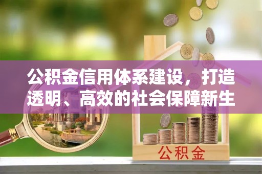 神木公积金信用体系建设，打造透明、高效的社会保障新生态