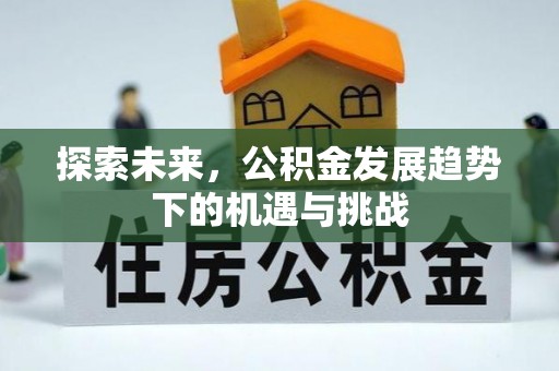 神木探索未来，公积金发展趋势下的机遇与挑战