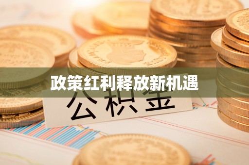 神木政策红利释放新机遇