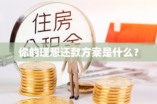 神木你的理想还款方案是什么？